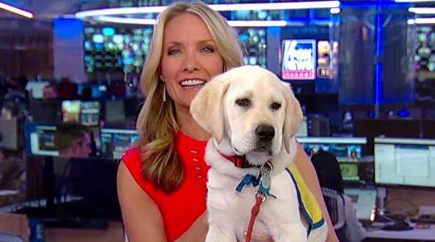 Spike launches his blog 'The Daily Spike'