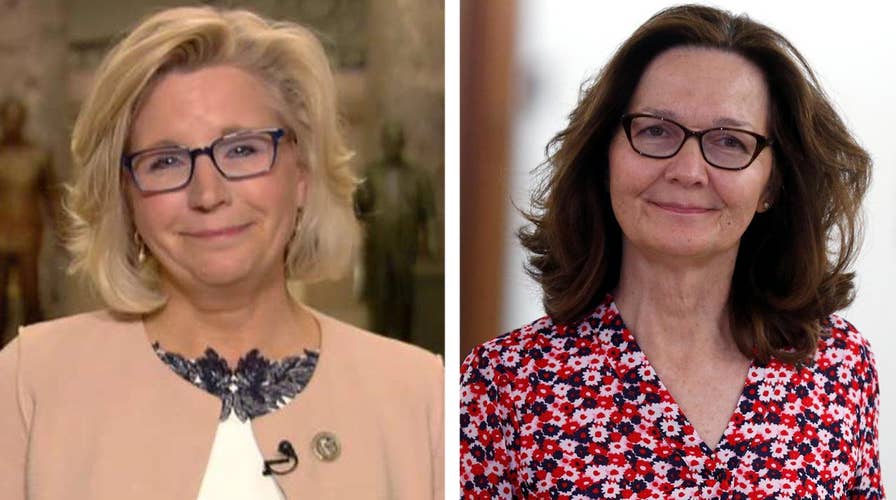 Rep. Cheney on the renewed debate over interrogation tactics