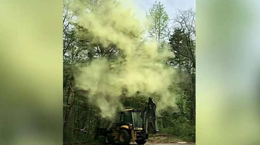 Massive pollen storm caught on camera in New Jersey