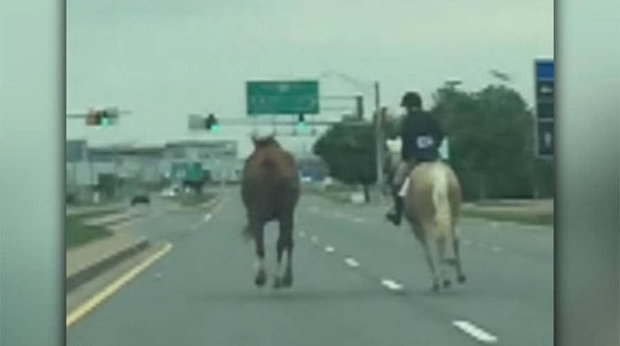 Teen chases down runaway horse on Maryland highway