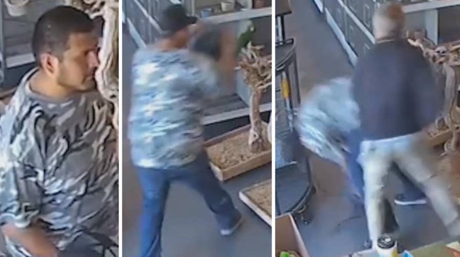 Brazen thief tries to steal exotic bird from pet store