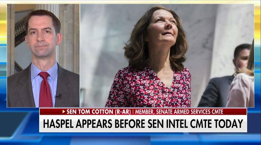 Sen. Cotton - Democrats Cant Accept That Trump Is President