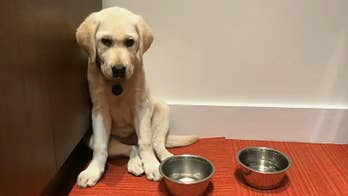 The Daily Spike: What’s in a name?