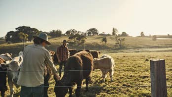 What is the farm bill? From food stamps to conservation efforts, a look at the massive legislation
