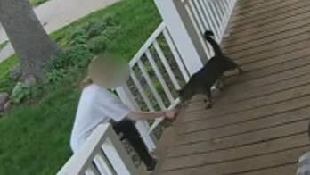 Caught on camera: Nebraska police nab teen for trying to swipe cat
