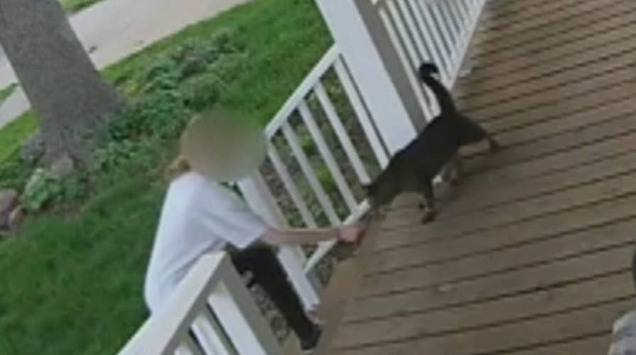 Teen caught on video trying to steal cat from porch