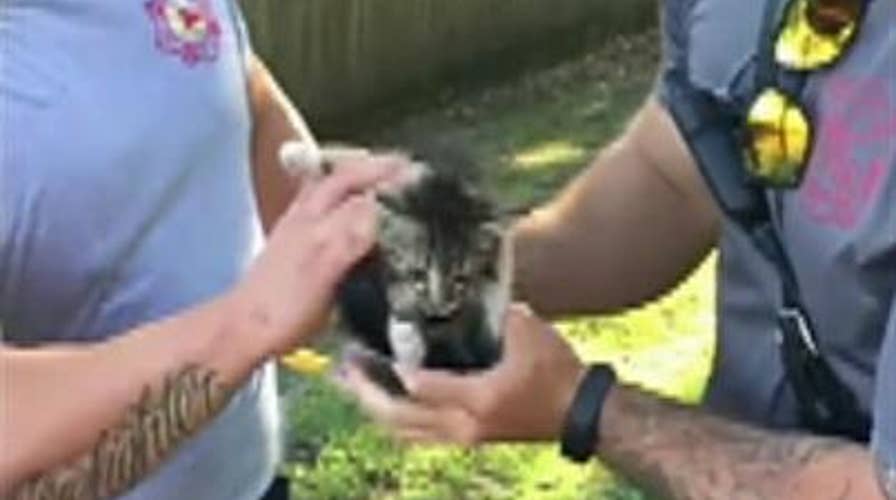 Stuck kitten rescued by Louisiana firefighters
