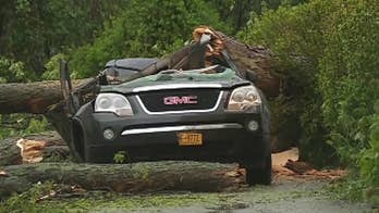 11-year-old girl helping her mom killed when tree falls onto car during Northeast storm