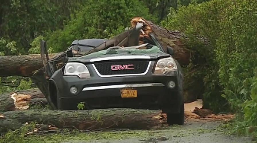 Accident turns deadly when tree falls on an SUV