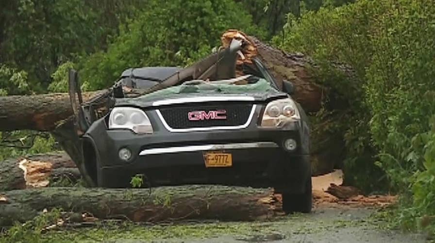 Accident turns deadly when tree falls on an SUV