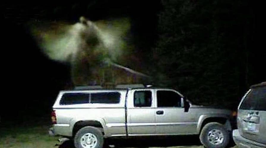 Fox & Trends: Carley Shimkus