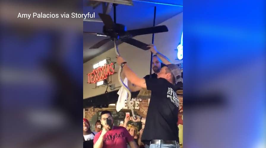 Bar employees yank snake from ceiling fan