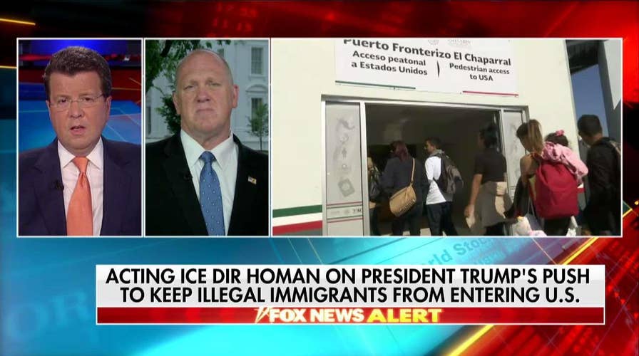 Thomas Homan on Illegal Immigration