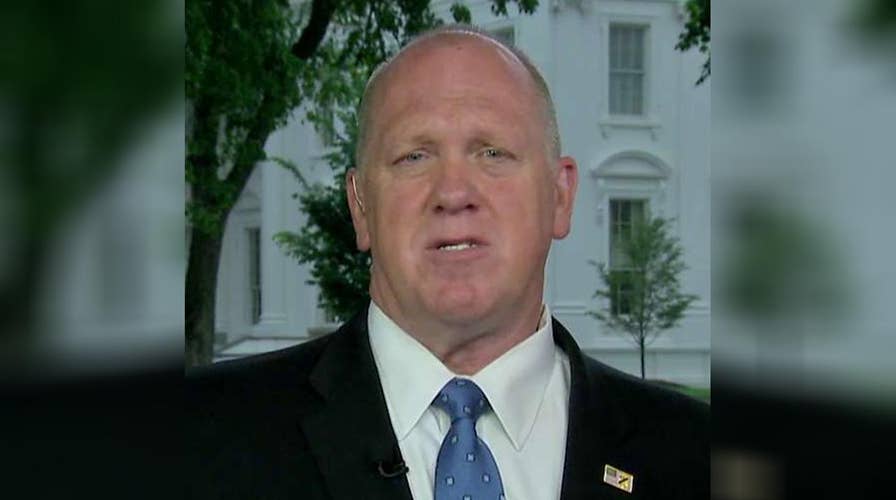 Acting ICE chief: Congress must close immigration loopholes