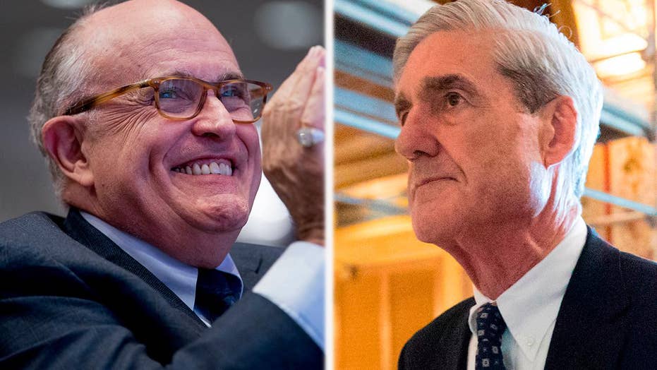 Uncovering The Mystery Did Trump Fire Alina - jj1bnoy