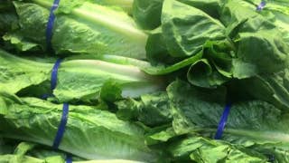 CDC says romaine lettuce safe to eat again - Fox News