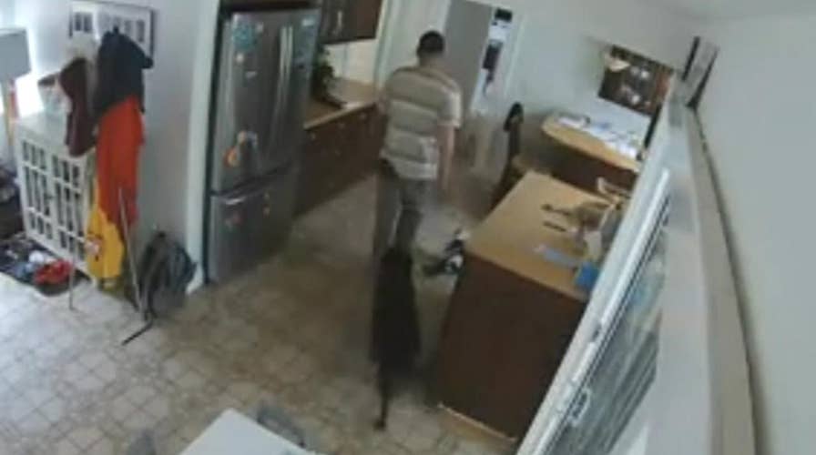 Burglar makes sure dog doesn't run away during robbery