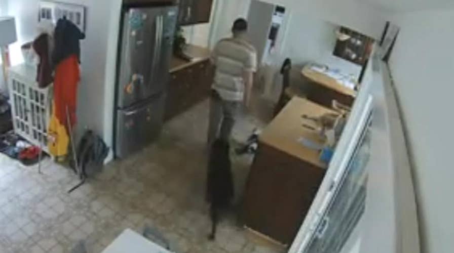 Burglar makes sure dog doesn't run away during robbery