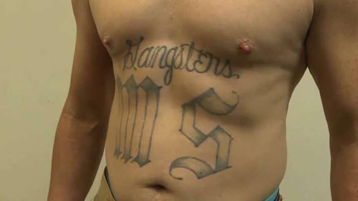 In 2017, ICE arrested 796 MS-13 gang members nationwide