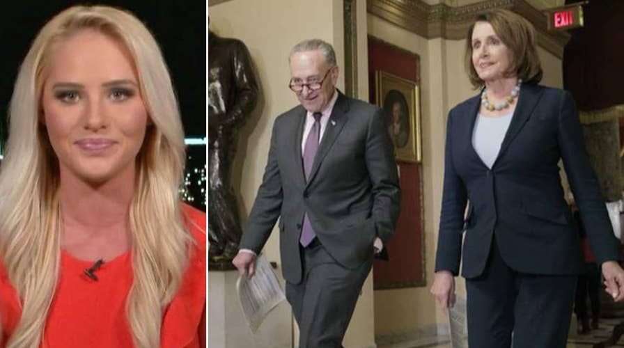 Tomi Lahren: Democrats will be hurting in midterms, 2020