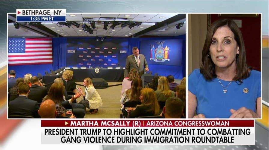 McSally: Dems Are So Against Trump They Can't See Straight