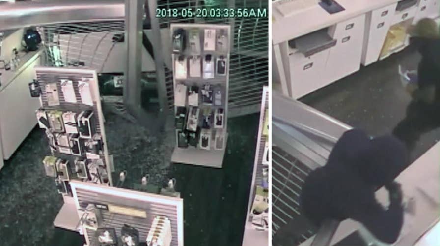 Brazen smash and grab caught on camera