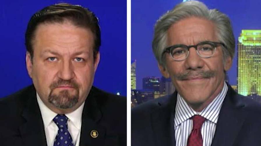 Geraldo Rivera, Sebastian Gorka on Trump's 'animals' comment