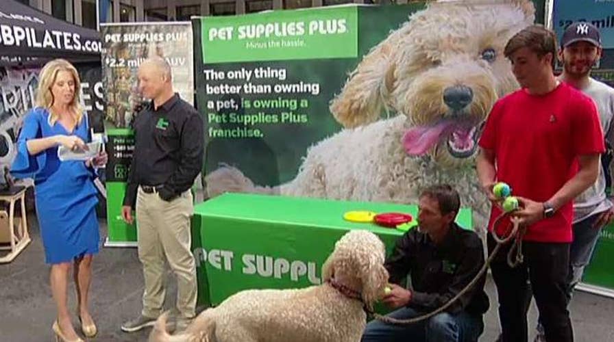 Five companies hiring for the summer