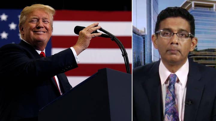Dinesh D'Souza opens up about being pardoned by Trump