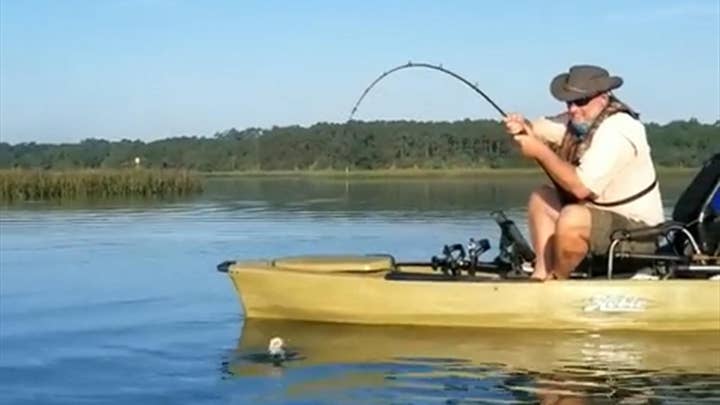 Shark pulls fisherman's kayak