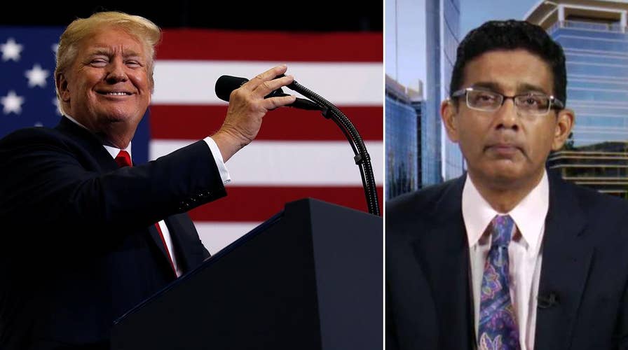 Dinesh D'Souza opens up about being pardoned by Trump