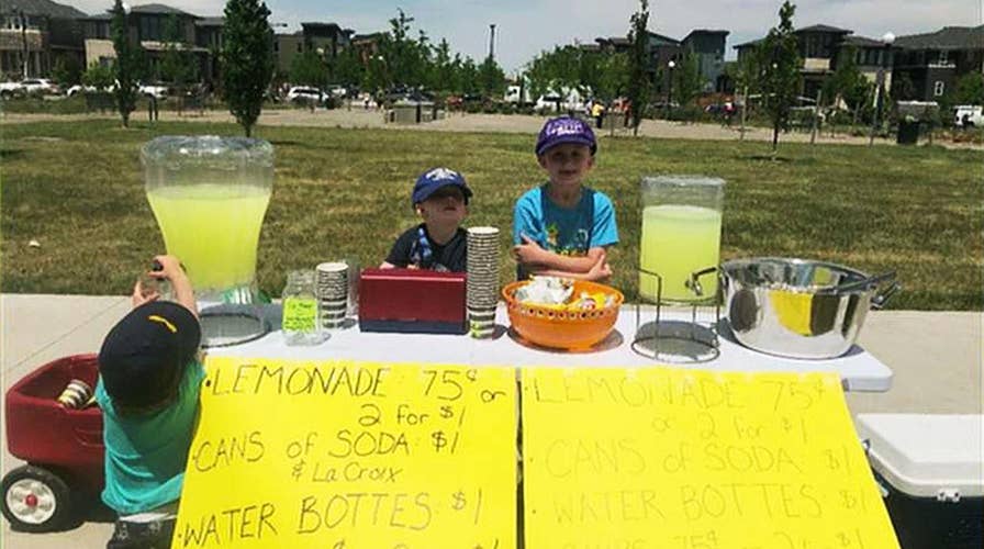 Charity lemonade stand shut down for lack of permit