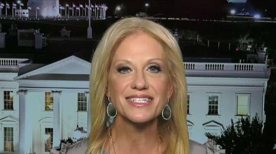 Kellyanne Conway on Trump's first 500 days in office