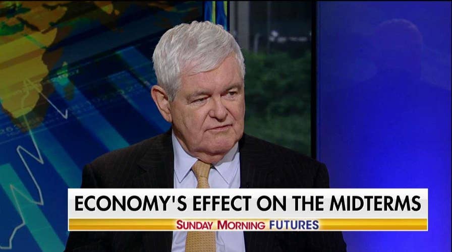 Gingrich: We Are Closer to a 'Red Wave' Than a 'Blue Wave'
