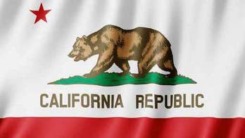 Trump tweets primary day endorsements