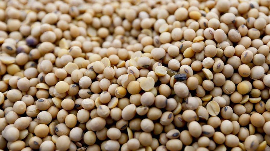 Potential trade war hitting US soybean farmers