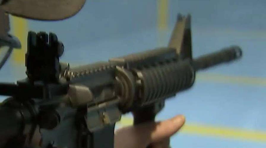 Deerfield, Illinois residents must turn in their guns