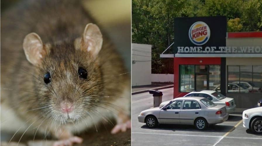 Delaware Burger King closes after rodents found in buns