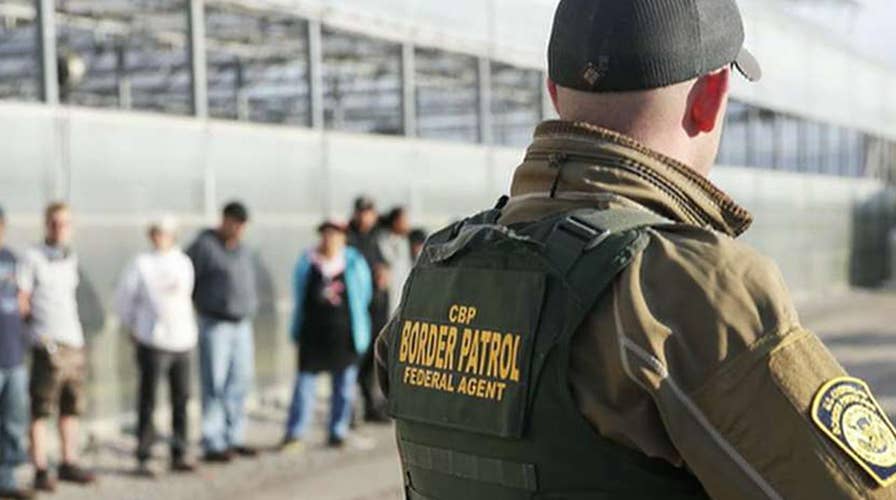 ICE agents arrest 114 at Ohio lawn business