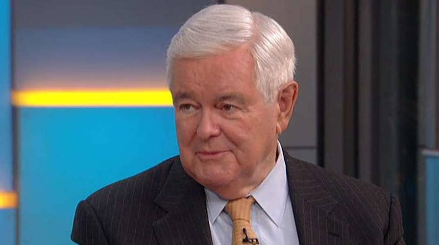 Newt Gingrich: There will be a red wave this fall