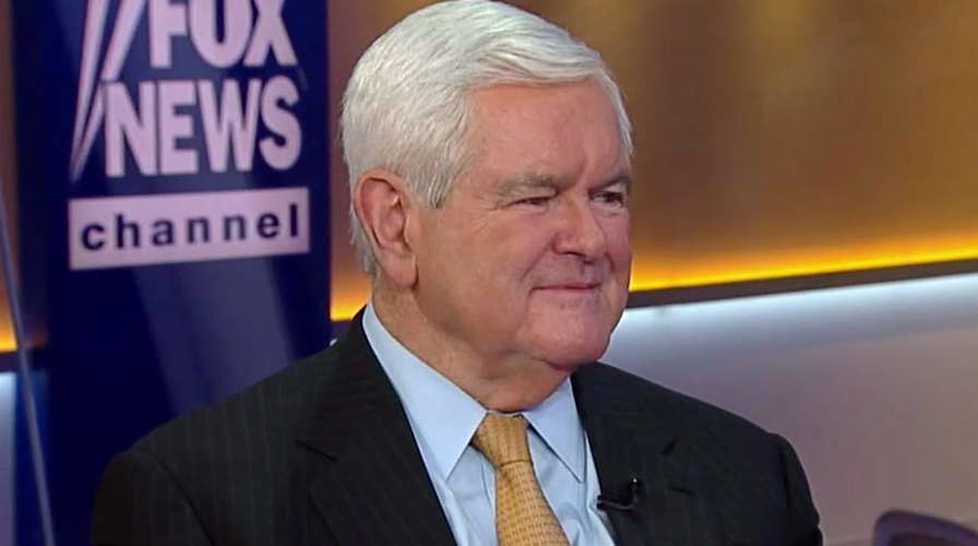 Newt Gingrich: We will see a red wave, not blue in November