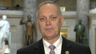 Rep. Biggs: Republicans are 'all over the board' on DACA - Fox News