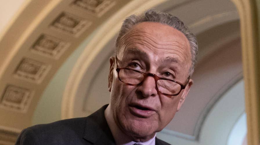 Schumer says Democrats can win back Senate. Is he right?