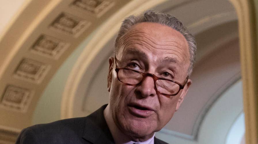 Schumer says Democrats can win back Senate. Is he right?