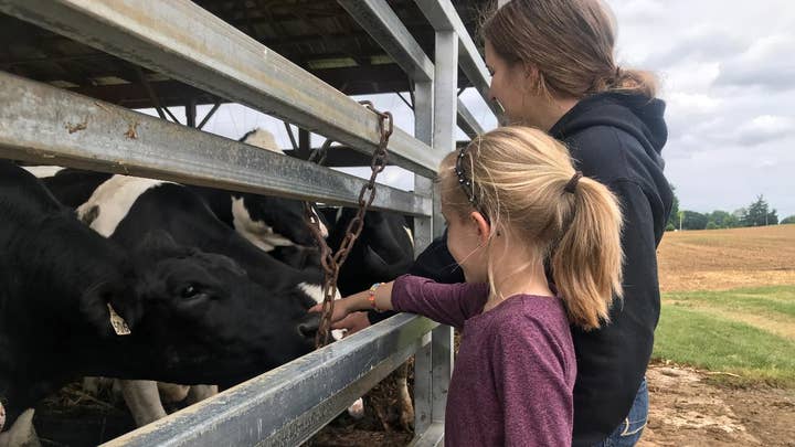 Dairy farmers hit hard by declining demand