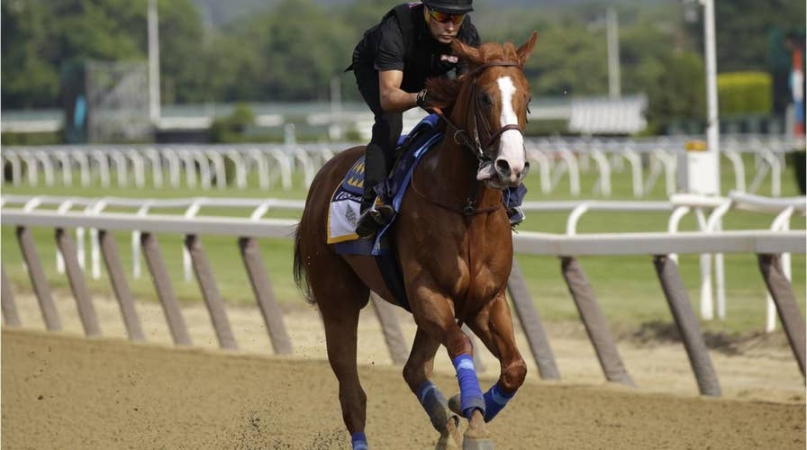 Will Justify win the Triple Crown Meet the undefeated colt that