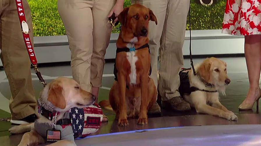 Veterans get new leash on life with K9s for Warriors