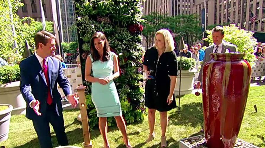 Tips for landscaping like a professional