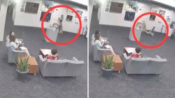 Kansas city gets $107G from family's insurance company after child damages glass sculpture