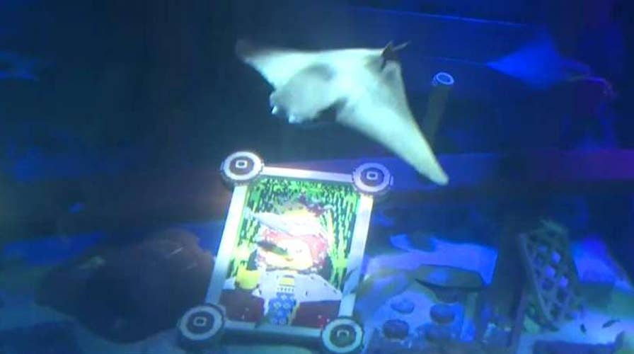 Top toys to keep your kids busy this summer break